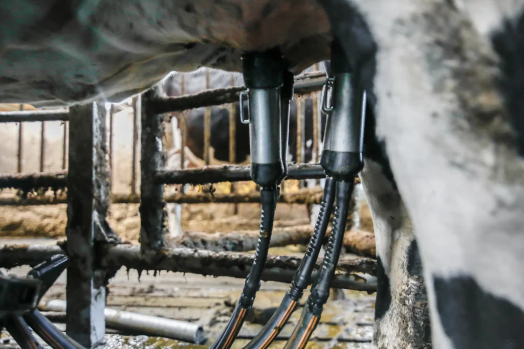 tepelbeker melkrobot